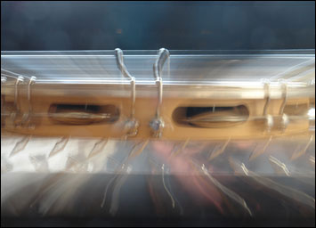 musik